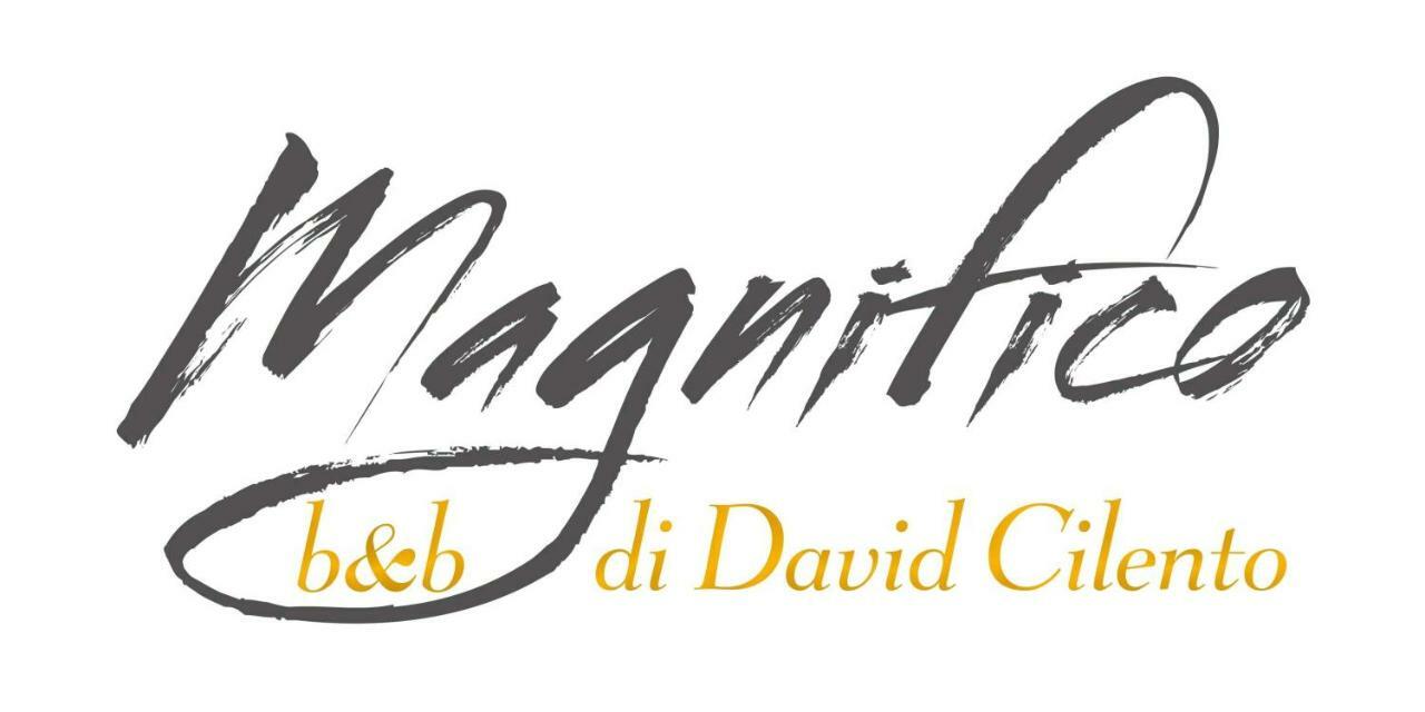 Magnifico B&B Σορέντο Εξωτερικό φωτογραφία